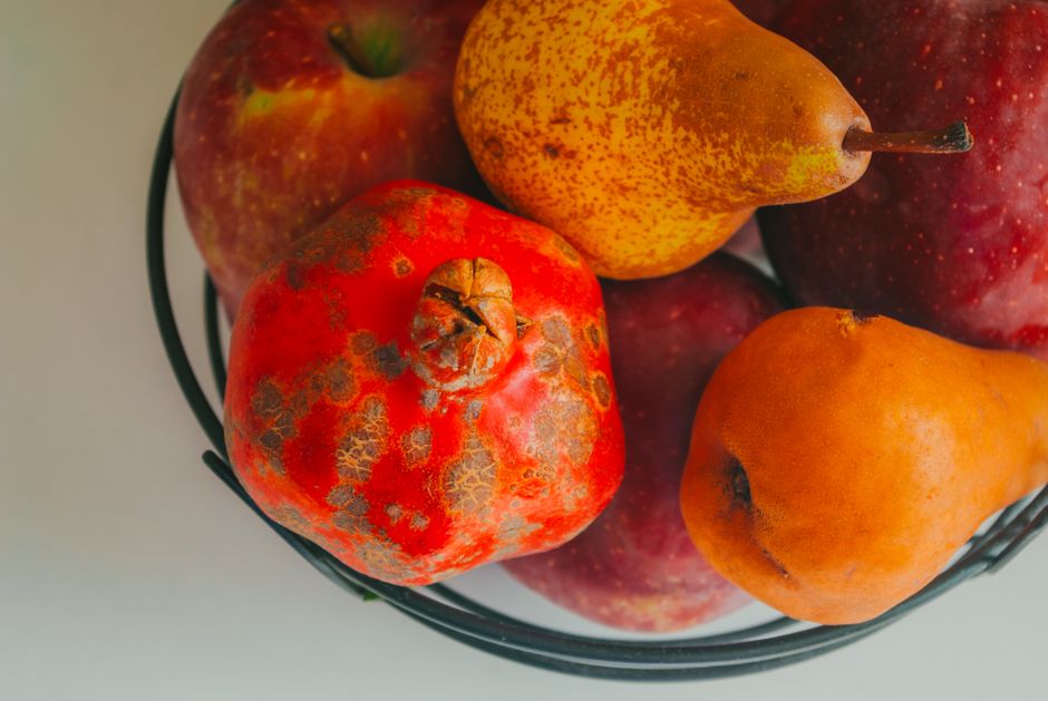 Everyday Wellness Tips as the Years Add Up