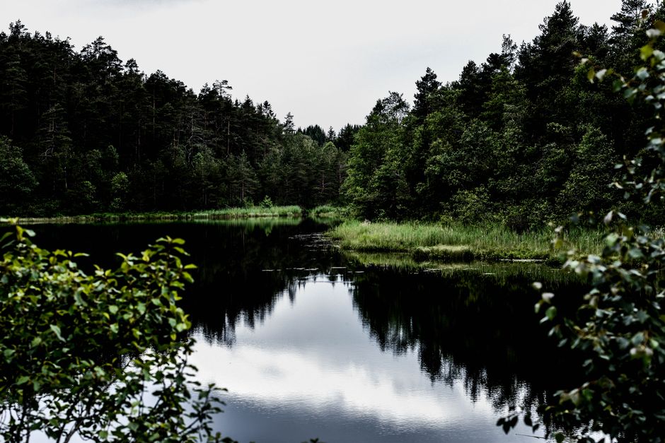 The Importance Of Personal Well-Being: Practical Steps You Can Use