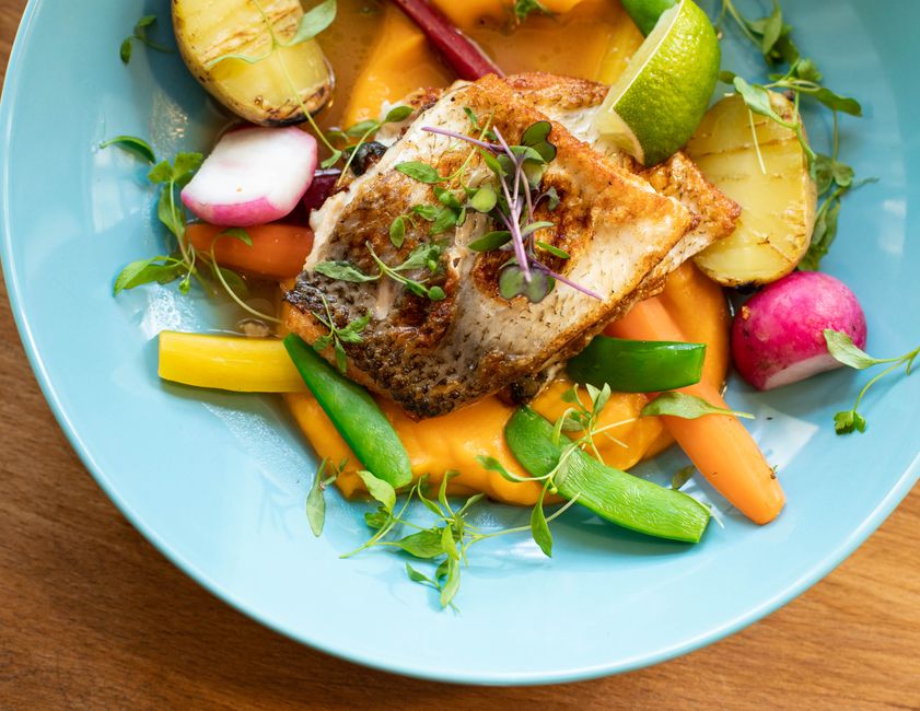Where People Go Wrong With Metabolism: What It Is And What It Is Not, Step by Step